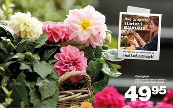 Pindstrup planter