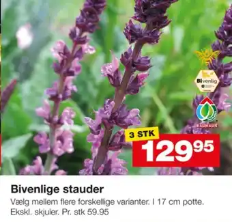 Bauhaus Pindstrup planter tilbud