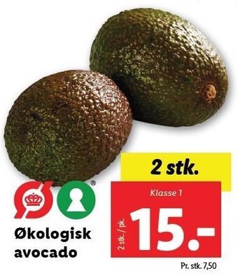Lidl Økologisk avocado tilbud