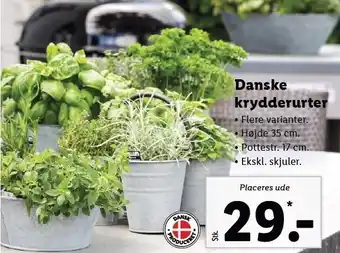 Lidl Danske krydderurter tilbud