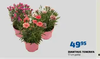 Grouw planter