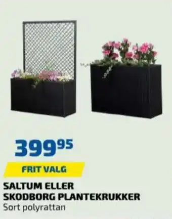 Davidsen Halls plantekasse tilbud
