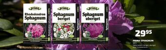 Davidsen Prima spagnum tilbud