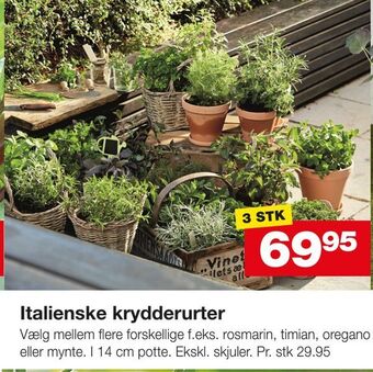 Bauhaus Italienske krydderurter tilbud