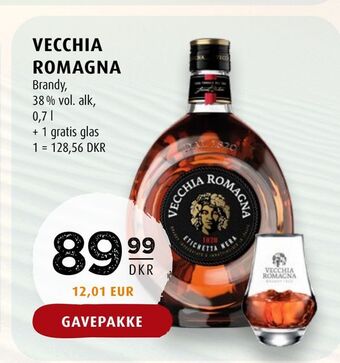 Scandinavian Park Vecchia romagna tilbud