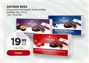 Scandinavian Park Anthon berg tilbud
