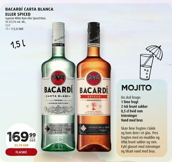 Scandinavian Park Bacardí carta blanca eller spiced tilbud