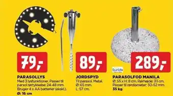 Parasollys, jordspyd el. parasolfod manila