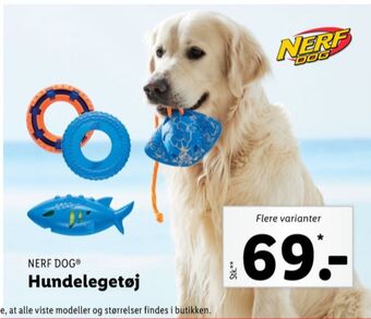 Lidl Nerf dog hundelegetøj tilbud