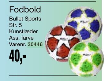 Fodbold