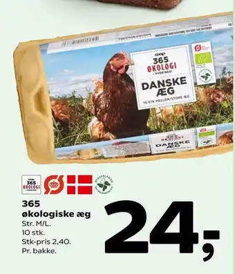 365 økologiske æg