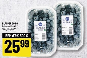 Løvbjerg Blåbær 300 g tilbud