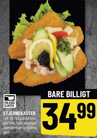 Løvbjerg Stjernekaster tilbud