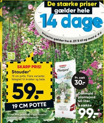 Stauder