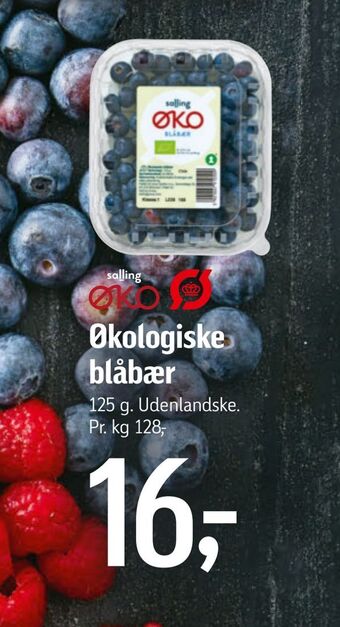 Føtex Økologiske blåbær tilbud