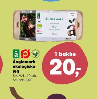 Änglamark økologiske æg