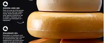 Gouda ung 48+