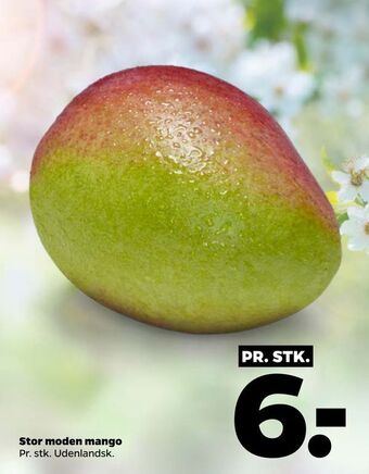 Netto Stor moden mango tilbud