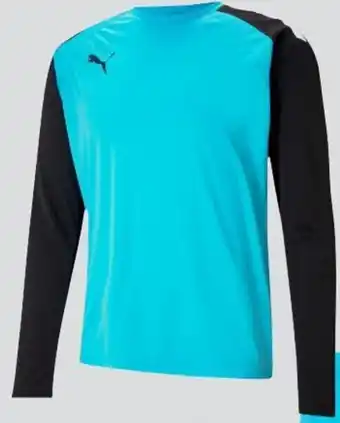 Sportigan Puma Målmandstrøje Barn 704939: 116-164 tilbud