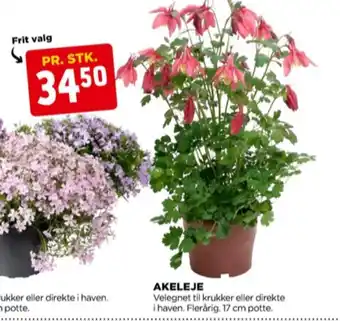 jem & fix Garden planter tilbud