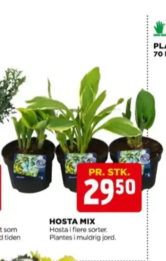 jem & fix Grønne fingre planter tilbud