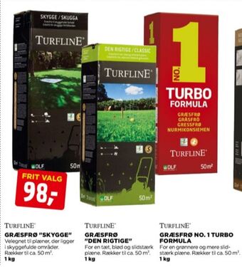 Turfline græsfrø