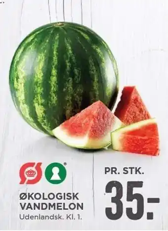 MENY Økologisk vandmelon tilbud