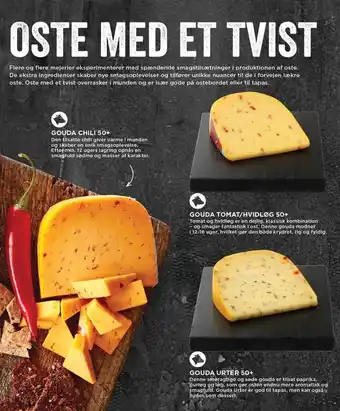 MENY Oste med et twist - Gouda chili, Gouda tomat/hvidløg og Gouda urter tilbud