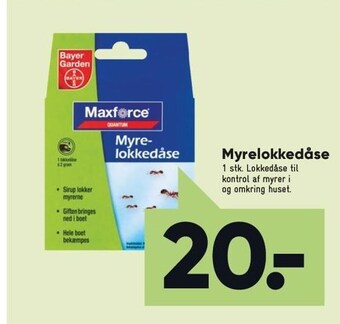 Myrelokkedåse