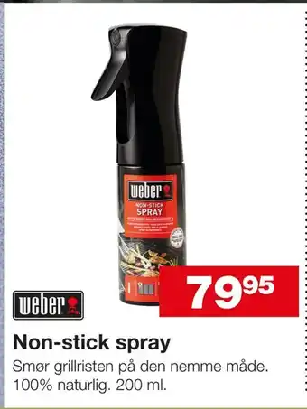 Non-stick spray