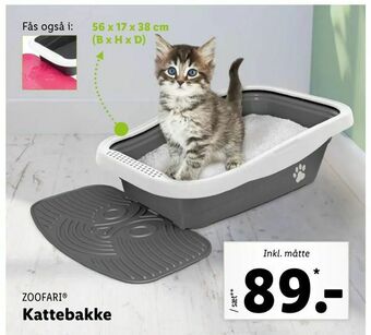Kattebakke