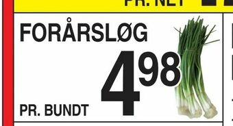 ABC Lavpris Forårsløg tilbud