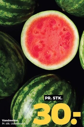 Netto Vandmelon tilbud