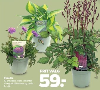 Netto Stauder tilbud