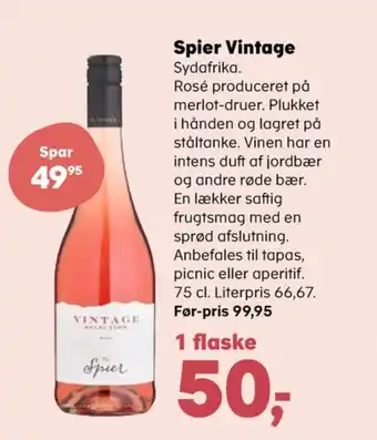 Änglamark sydafrikansk rosevin