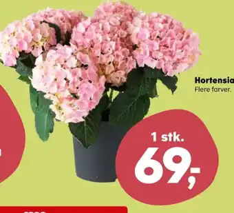SuperBrugsen Coop planter tilbud