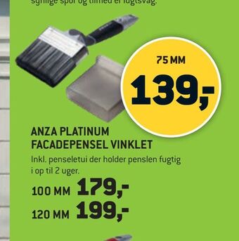 XL-BYG Anza platinum facadepensel vinklet tilbud