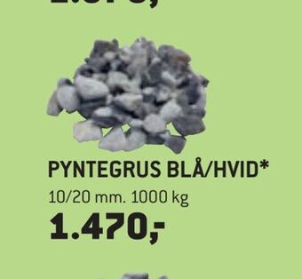 Pyntegrus blå/hvid