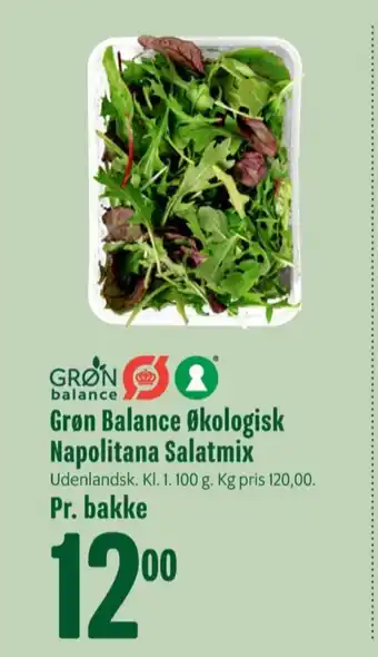 Grøn balance salatblanding