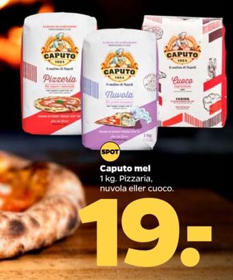 Caputo pizzamel