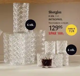 Shotglas 6 stk