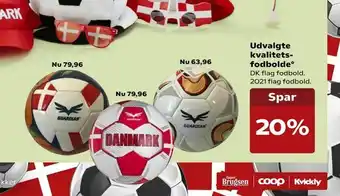 Udvalgte kvalitets fodbolde