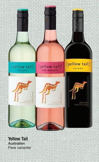Yellow Tail