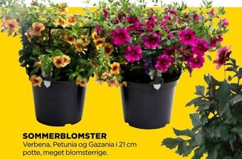 jem & fix Sommerblomster tilbud