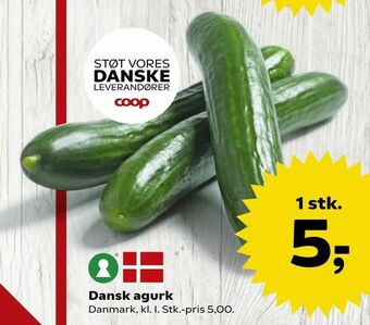 Dansk agurk