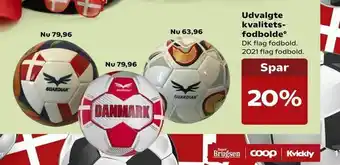 Udvalgte kvalitets fodbolde