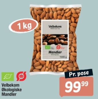 Fakta Tyskland Velbekom mandler tilbud