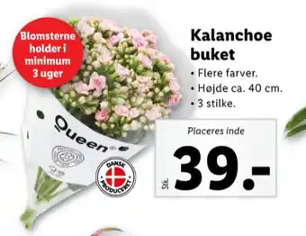 Lidl Queen buket tilbud