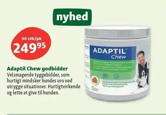 Adaptil Chew godbidder