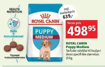 Puppy Medium